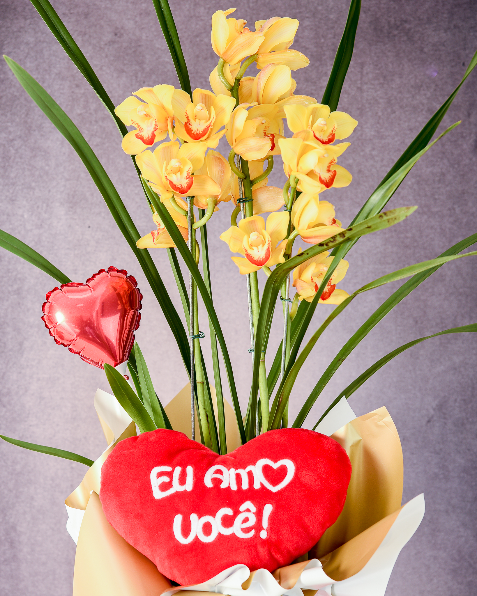 Orquídea Raio de Sol - Imagem 2